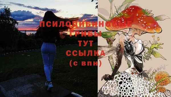 прущая мука Абаза