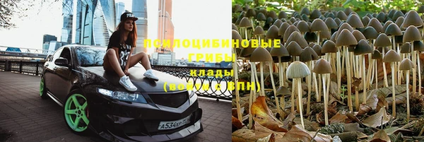 прущие крисы Медногорск