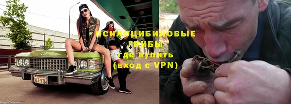 прущая мука Абаза