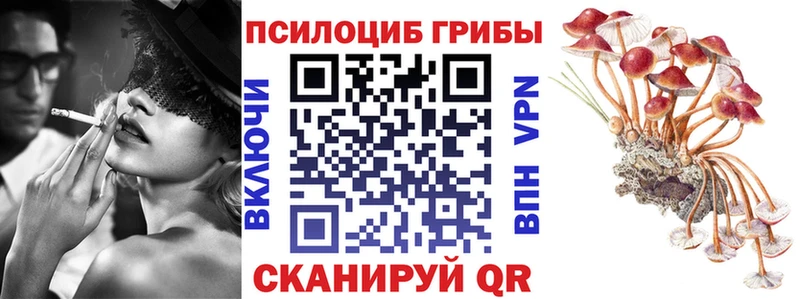 Галлюциногенные грибы Psilocybine cubensis  цена наркотик  Шлиссельбург 